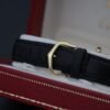 Cartier 5057001 Tri Colour TANK MUST VERMIEL 23mm 1981 15 4520a797 aece 419f 8bdf 0874379d752b