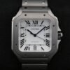 Cartier WSSA0089 White DE SANTOS