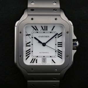 Cartier WSSA0089 White DE SANTOS